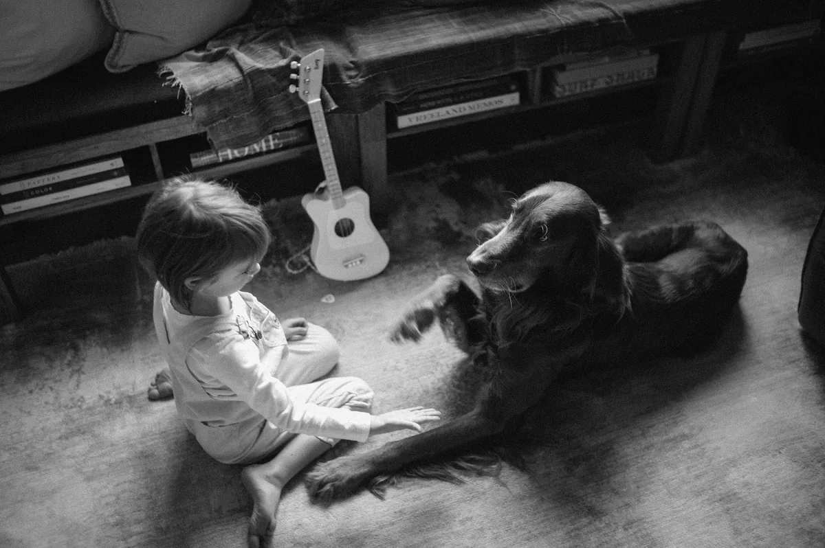 Legacy and family portrait photograph 6 by Michael Allen